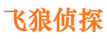 鸡泽侦探